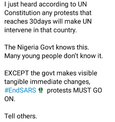 Claim That UN Will Intervene After 30 Days Of Endsars Protest is Ingenuine.