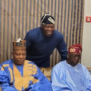Is Bola Tinubu the Owner of Oando